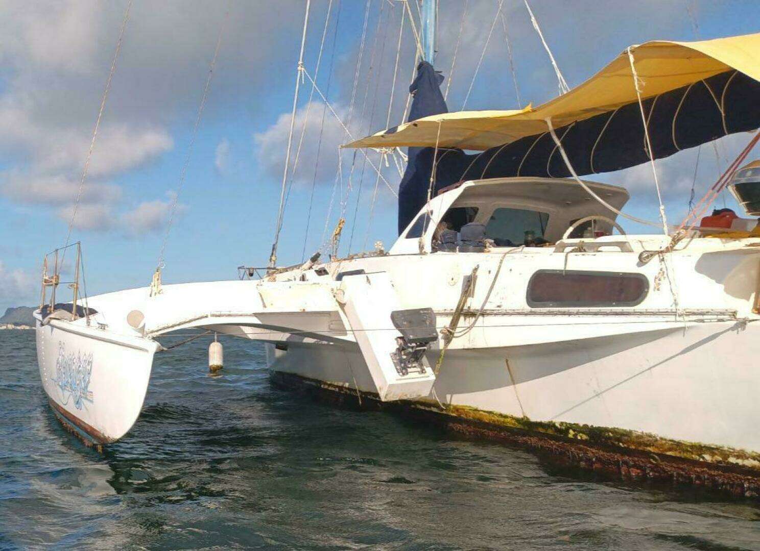 1988 Other John Marples Custom Constant Camber Cruising - Image 5