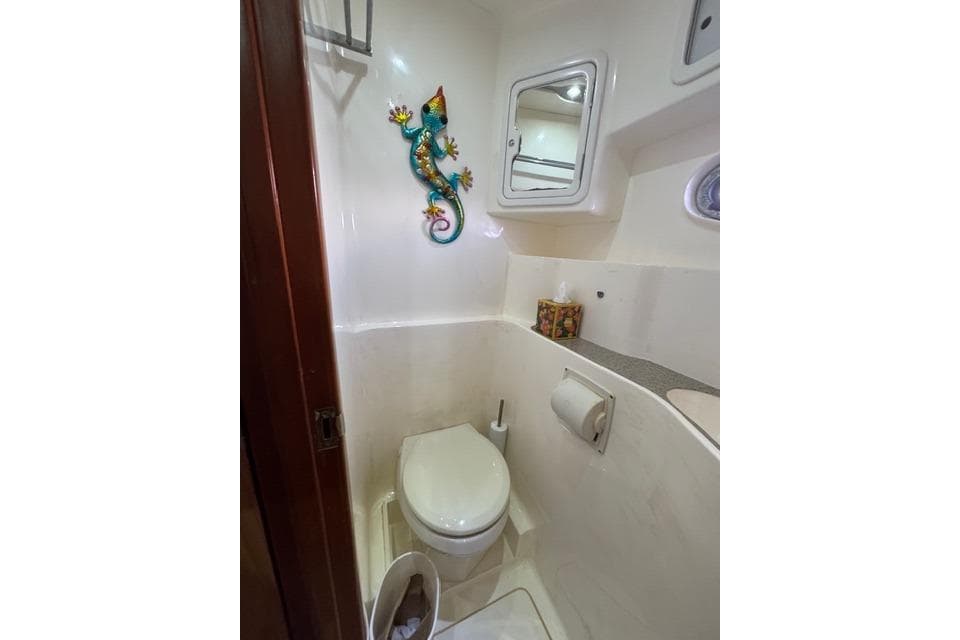 Compact bathroom in 2007 Africat Marine 420 yacht with colorful gecko wall decor.