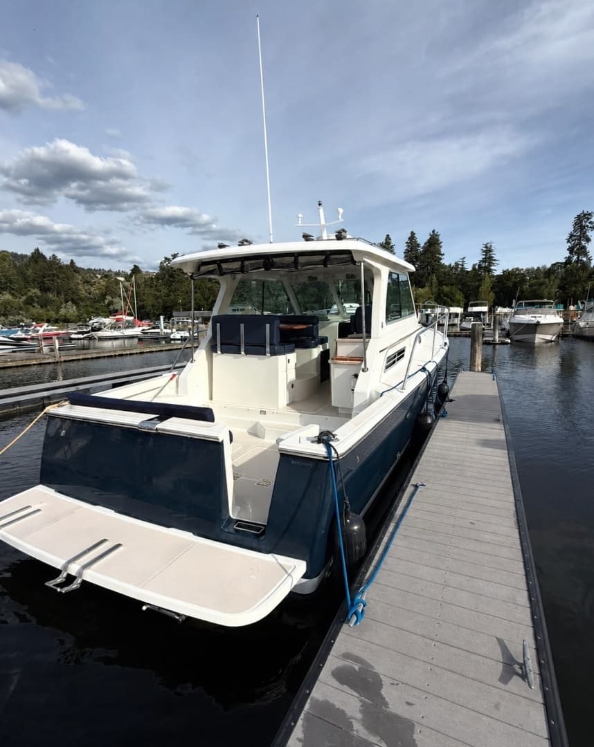2008 Back Cove 33 - Image 5