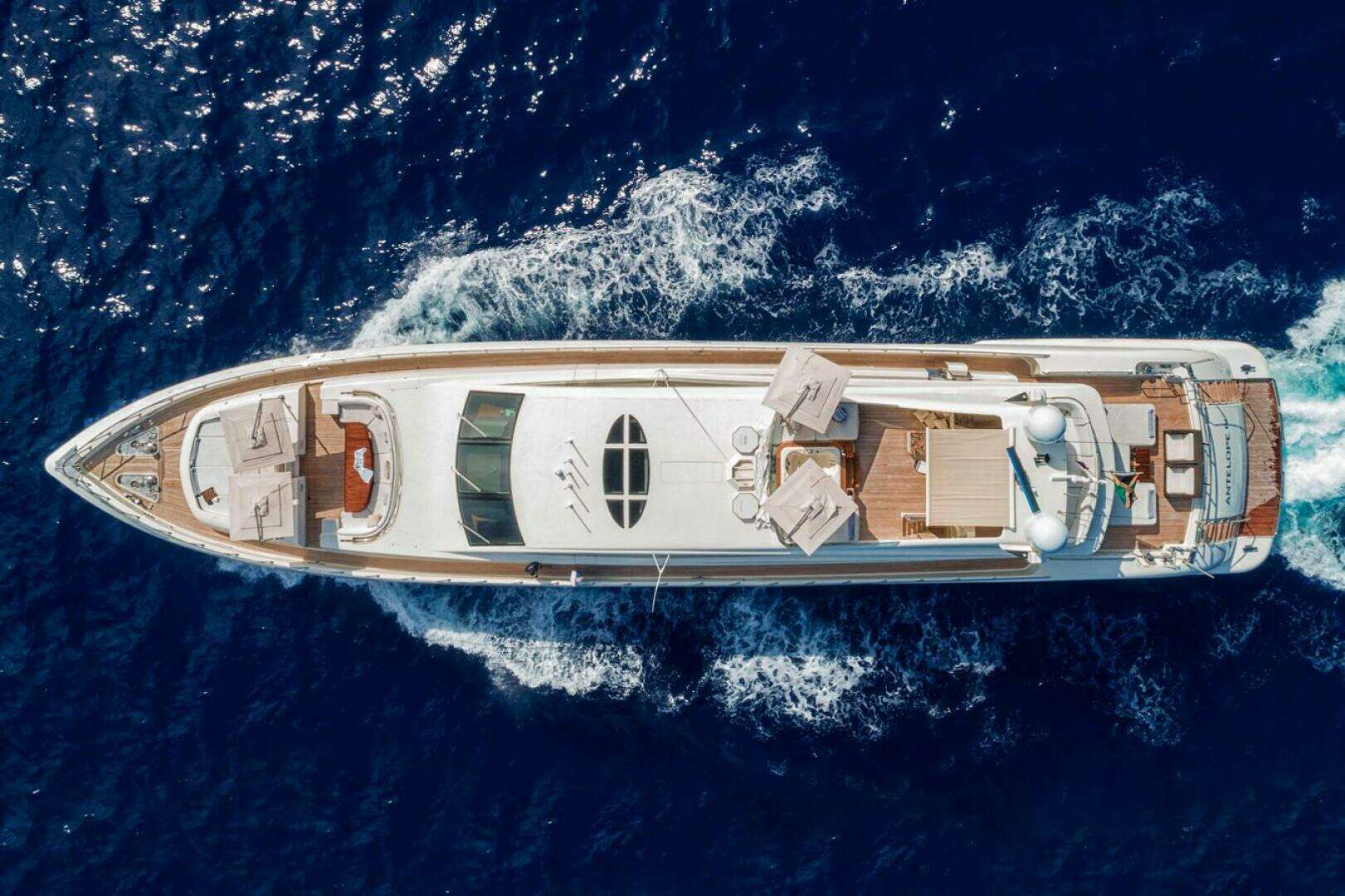 2012 Arno Leopard — - Image 17