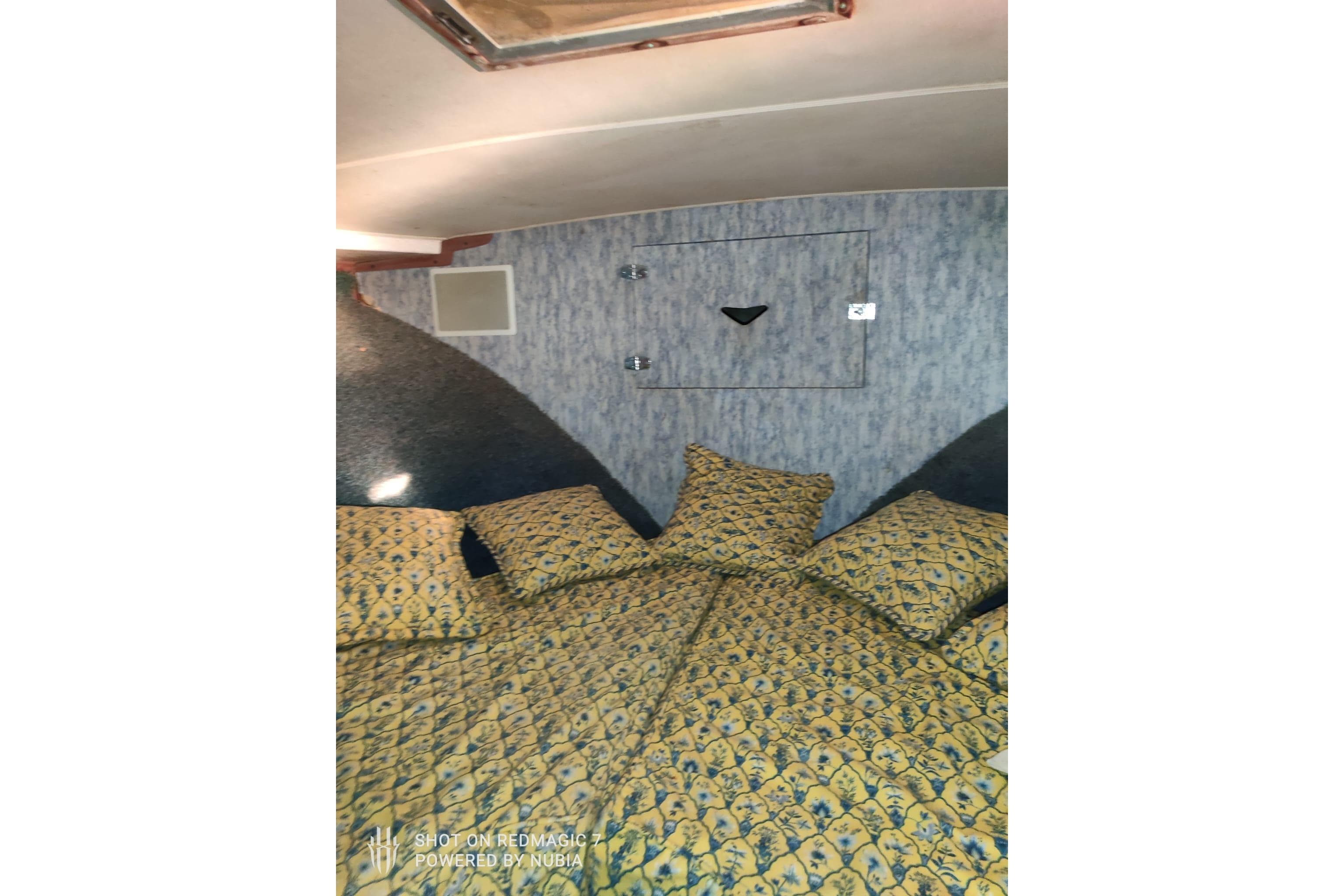 Cozy cabin interior of 1977 Bertram 46 Convertible with patterned bedding and soft lighting.
