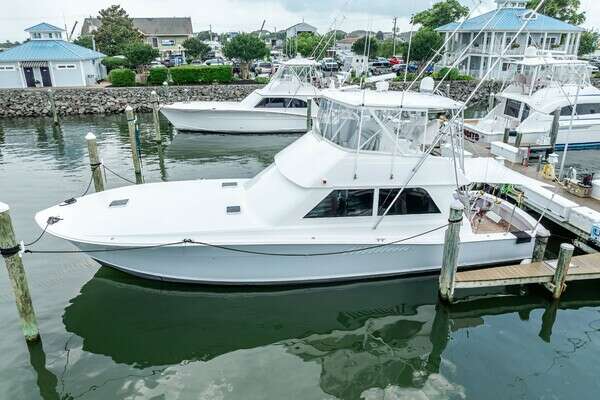 1995 Viking