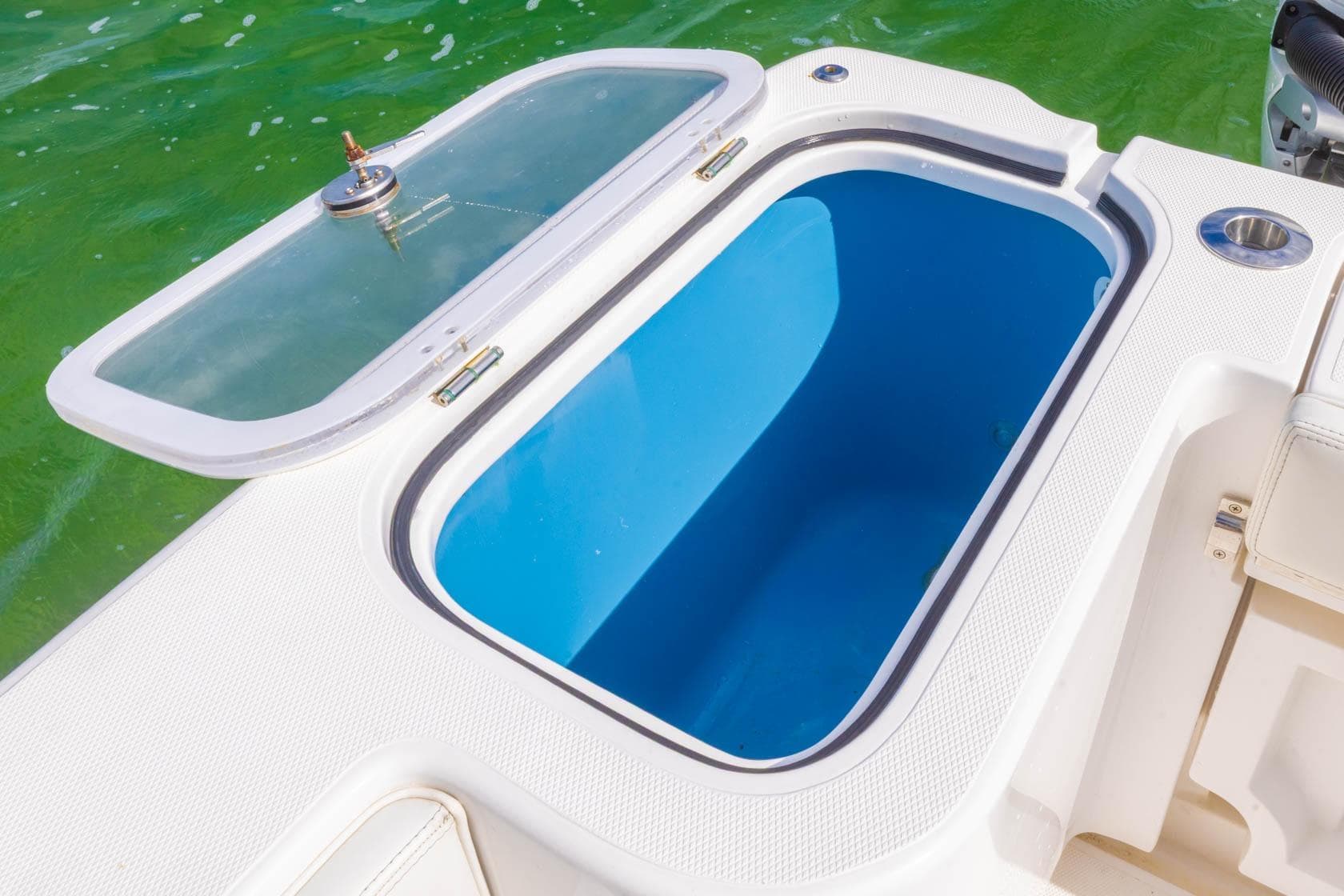 Livewell on 2024 Blackwater 43 Sportfish boat, open lid, blue interior, near green water.