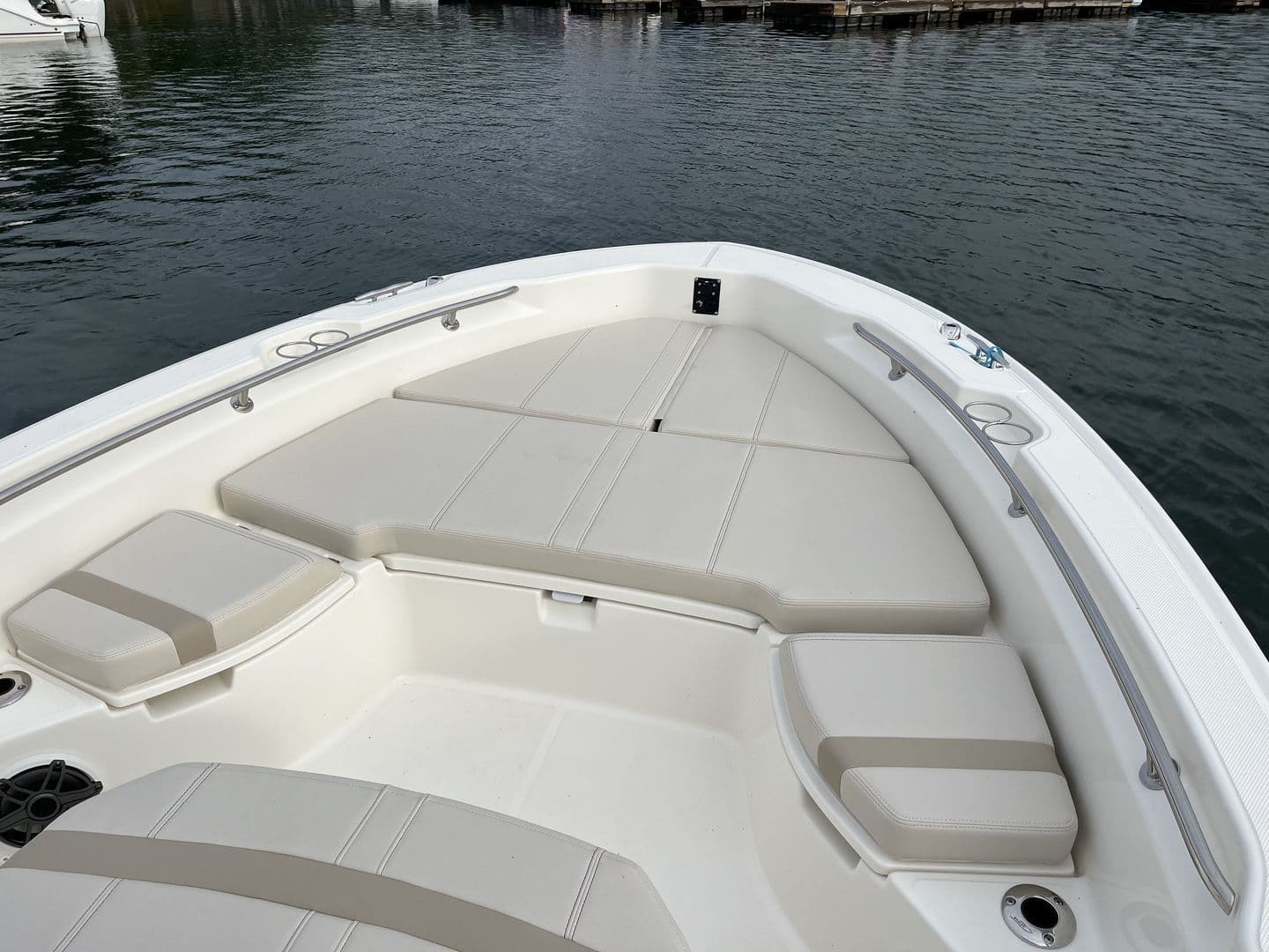2026 Boston Whaler 250 Dauntless - 10