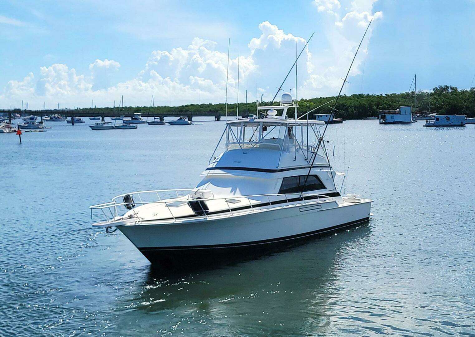 1989 Bertram 50 Convertible - Image 4