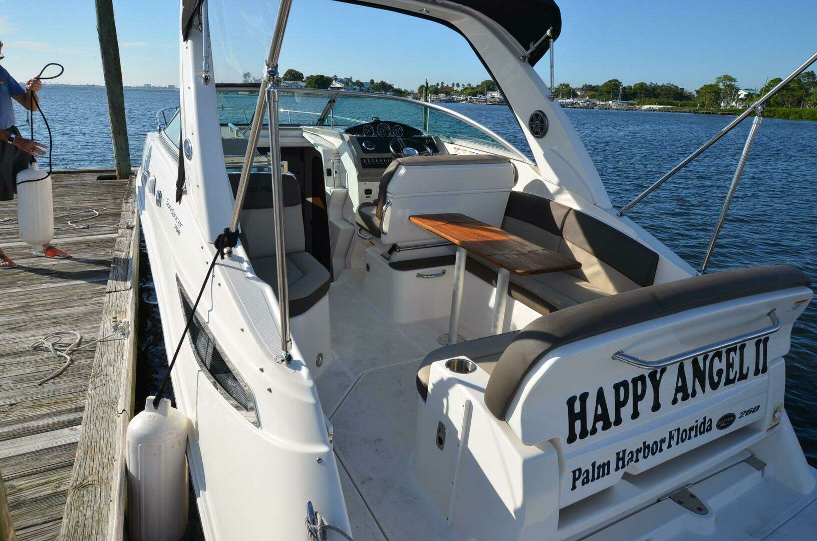 2015 Sea Ray 260 Sundancer - Image 10