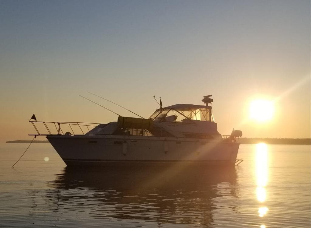 1974 Trojan 36 Tri Cabin - 2