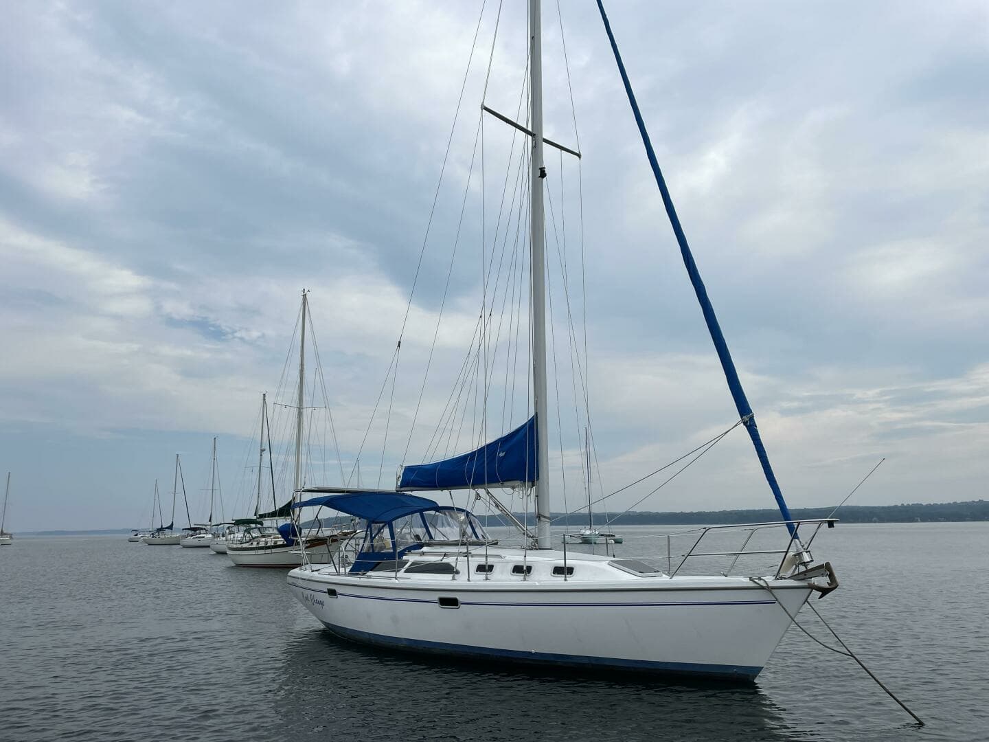 1999 Catalina — - Image 2