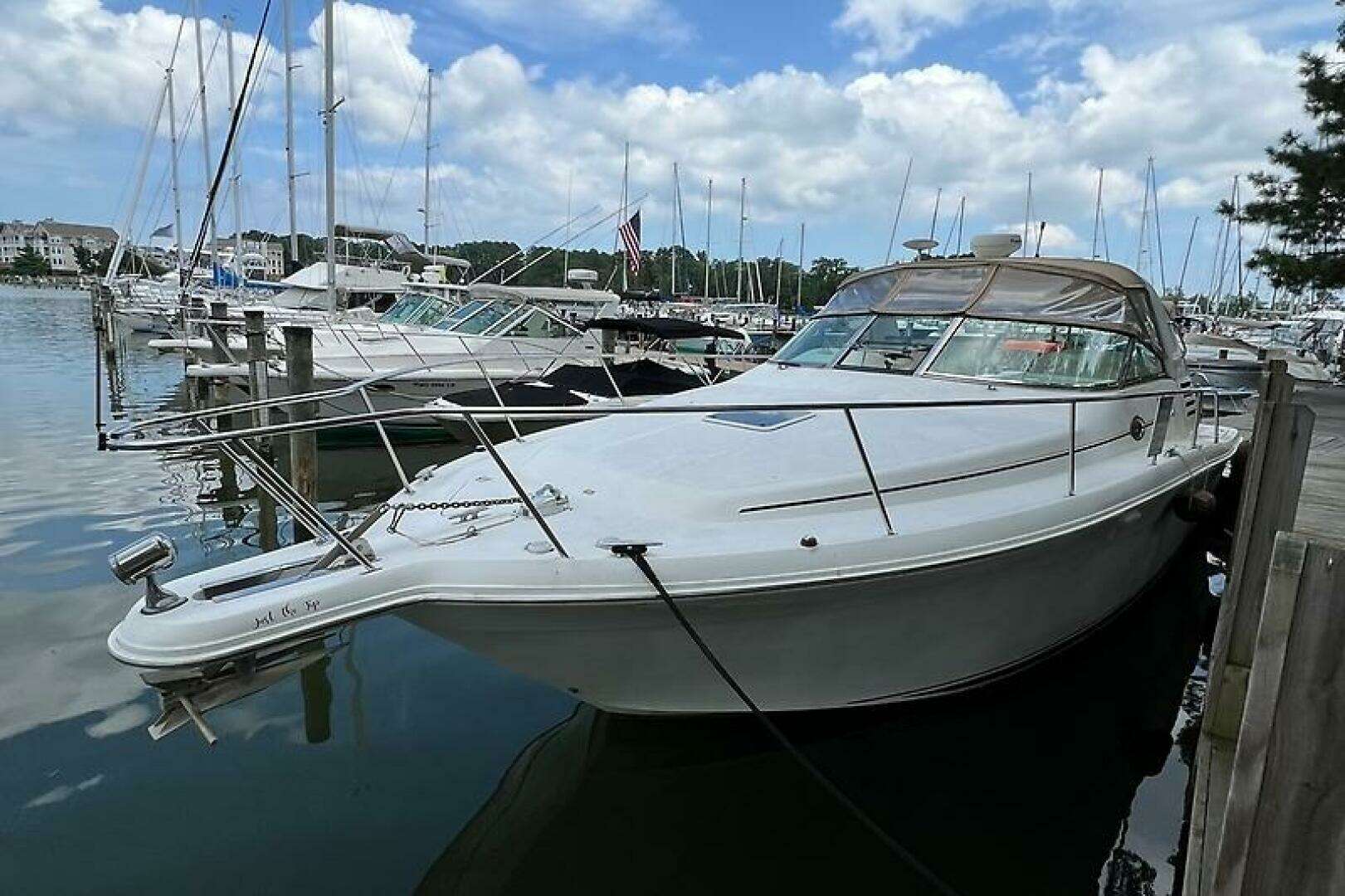2001 Sea Ray 340 Amberjack - Image 6