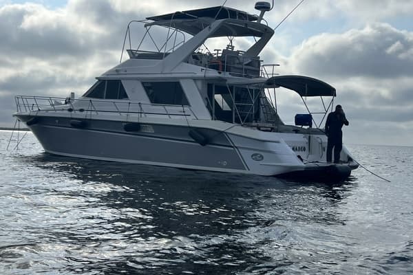 1995 Sea Ray 550 - Image 1