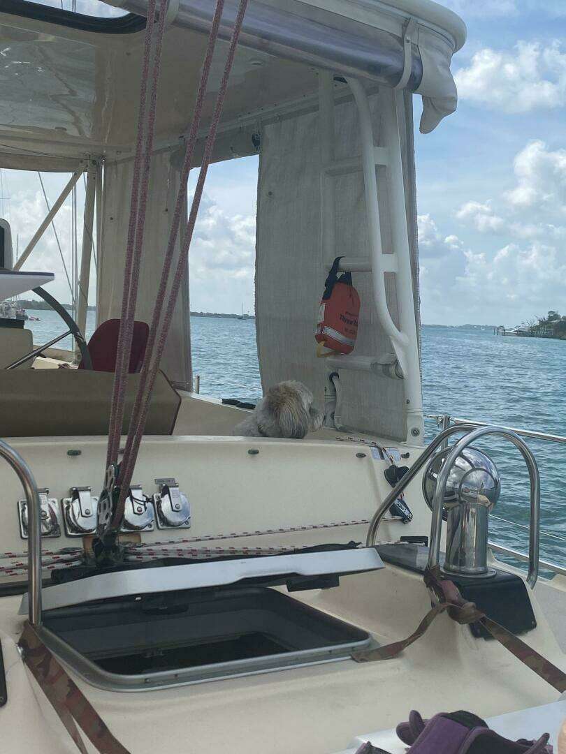2005 Island Packet 485 - Image 7