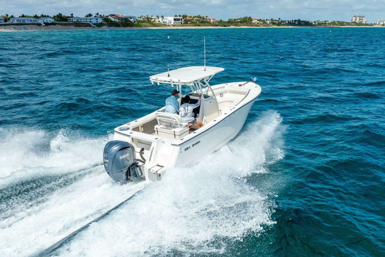 2025 Sea Born SX 239 - Image 3