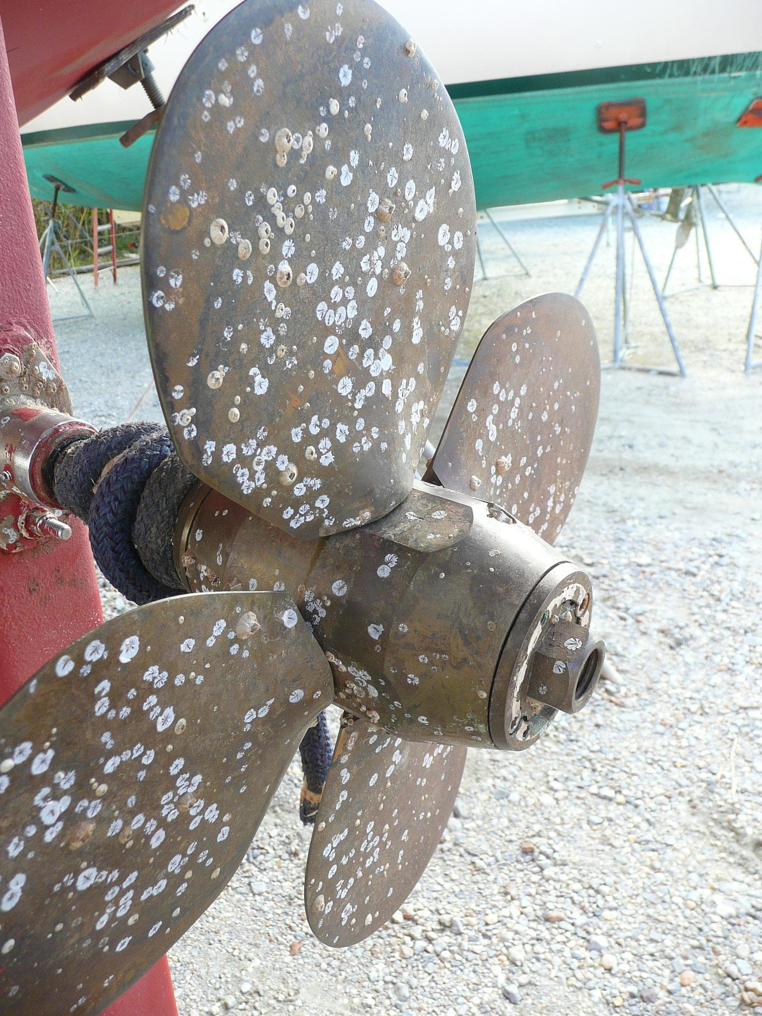 Close-up of a barnacle-covered propeller on a 1991 Island Packet 38 sailboat.
