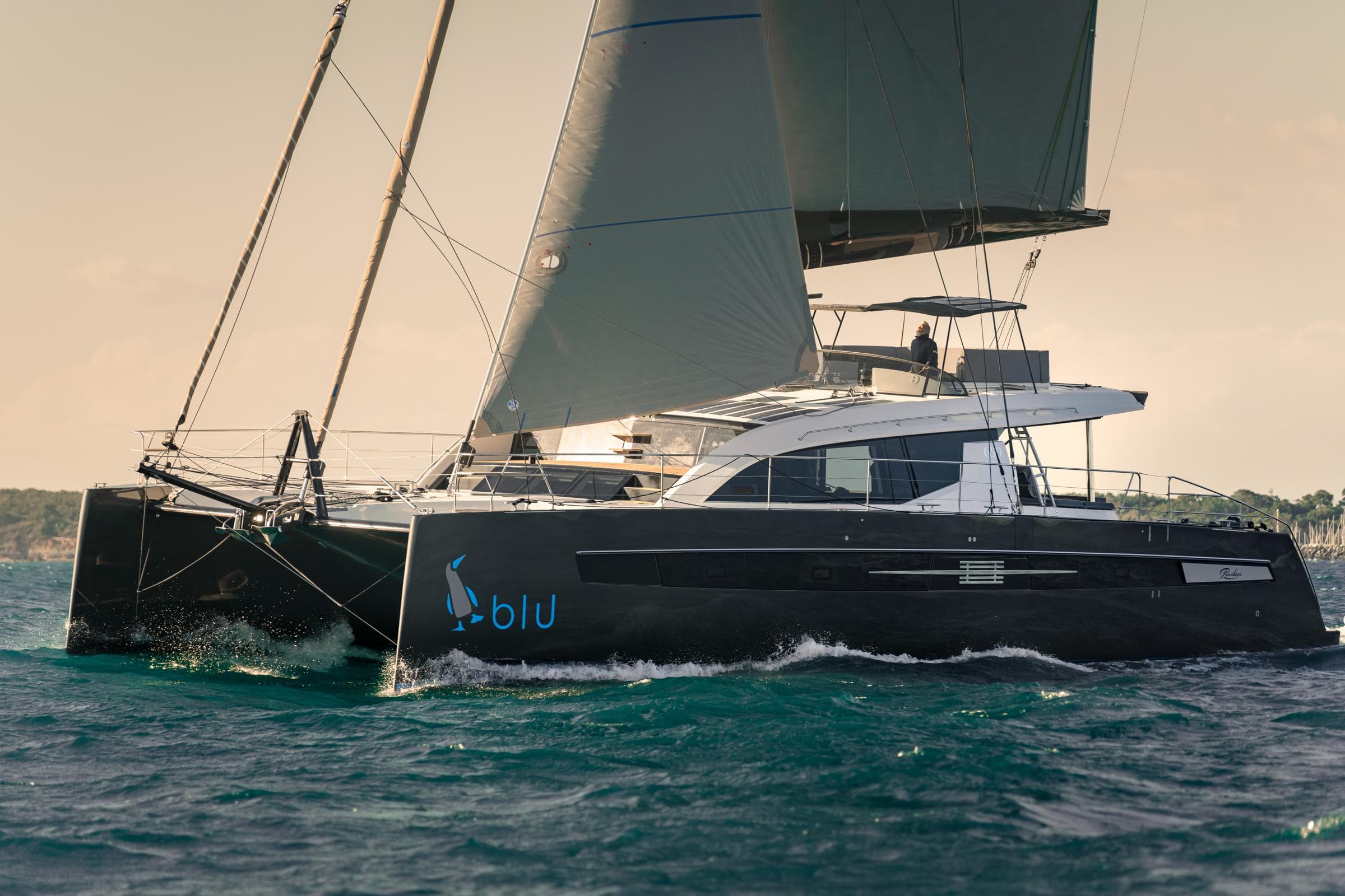 Luxury Privilege Signature 650 catamaran sailing on open water, 2025 model.
