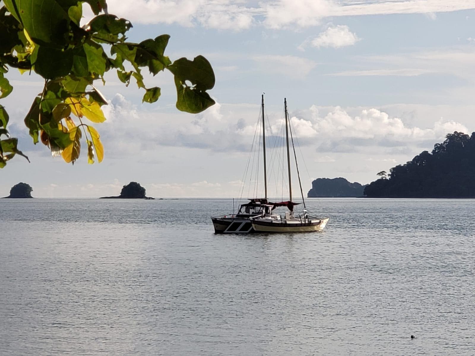 Wharram Tiki 46 yacht for sale