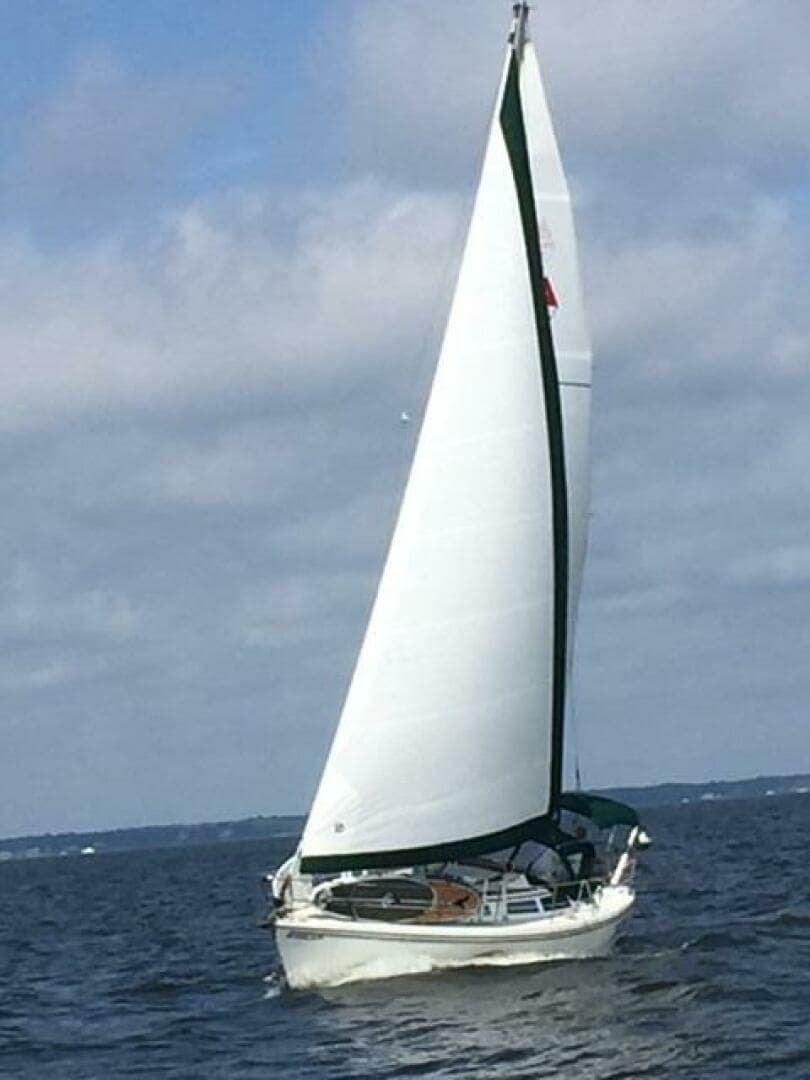 1988 Catalina 34 - Image 3