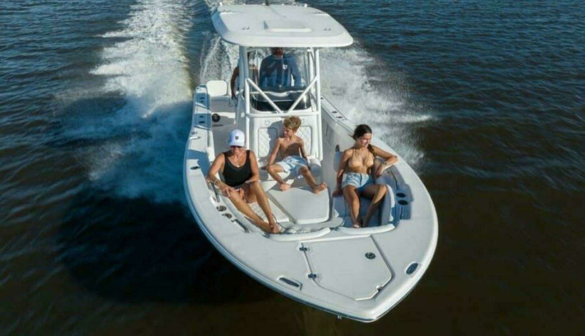 2026 Sea Fox 248 Commander - Image 2