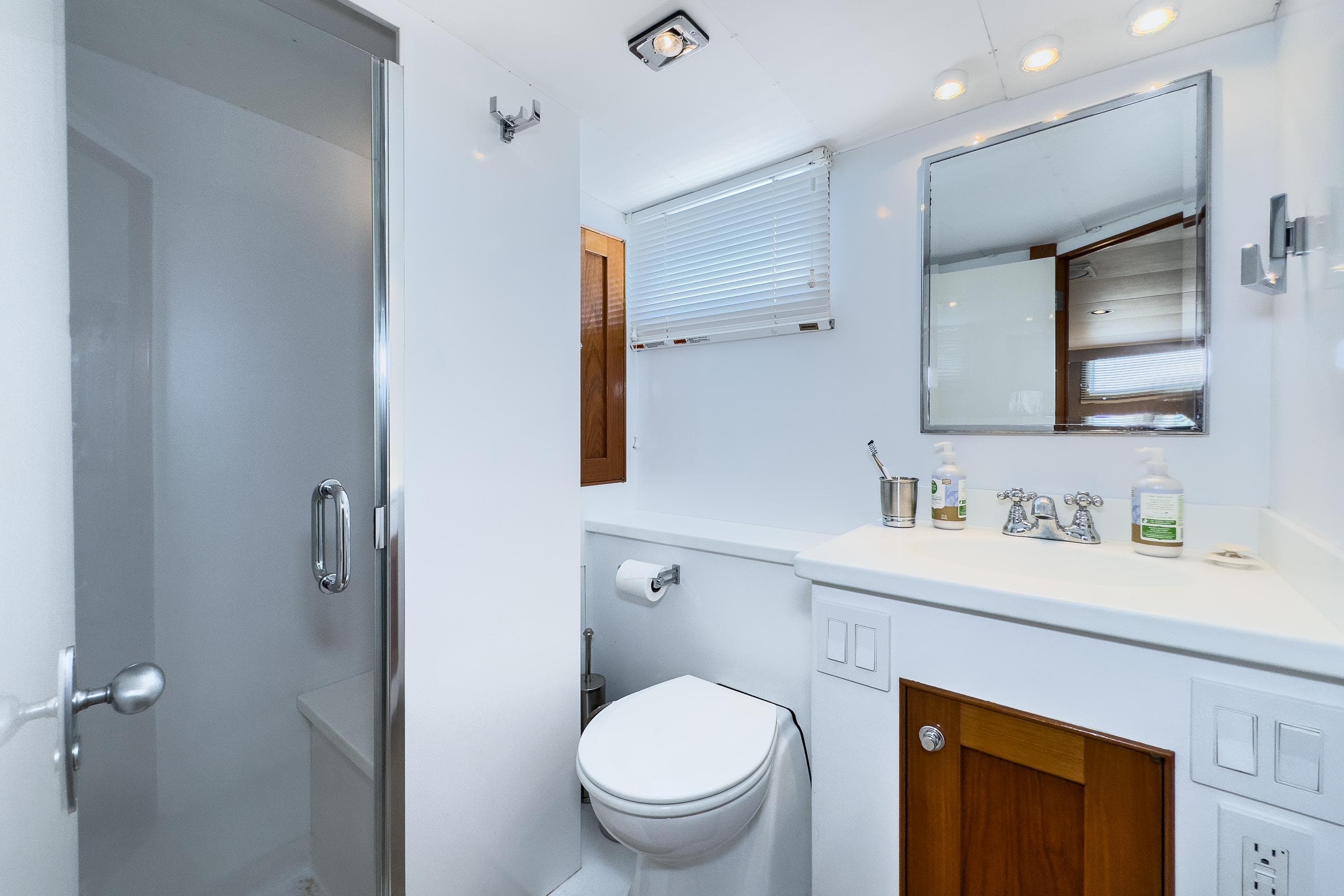 Main stateroom ensuite with head, vanity with sink and full shower.