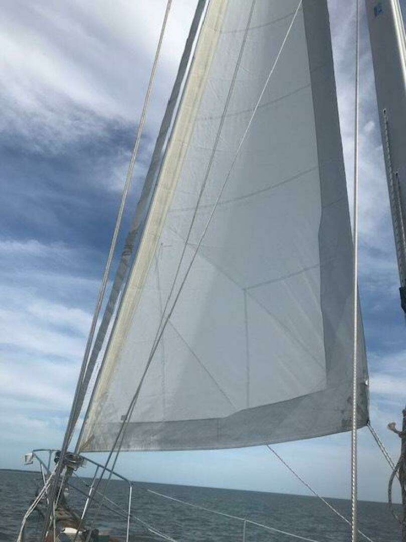 1983 Bluewater Yachts Vagabond 42 Center Cockpit - Image 6