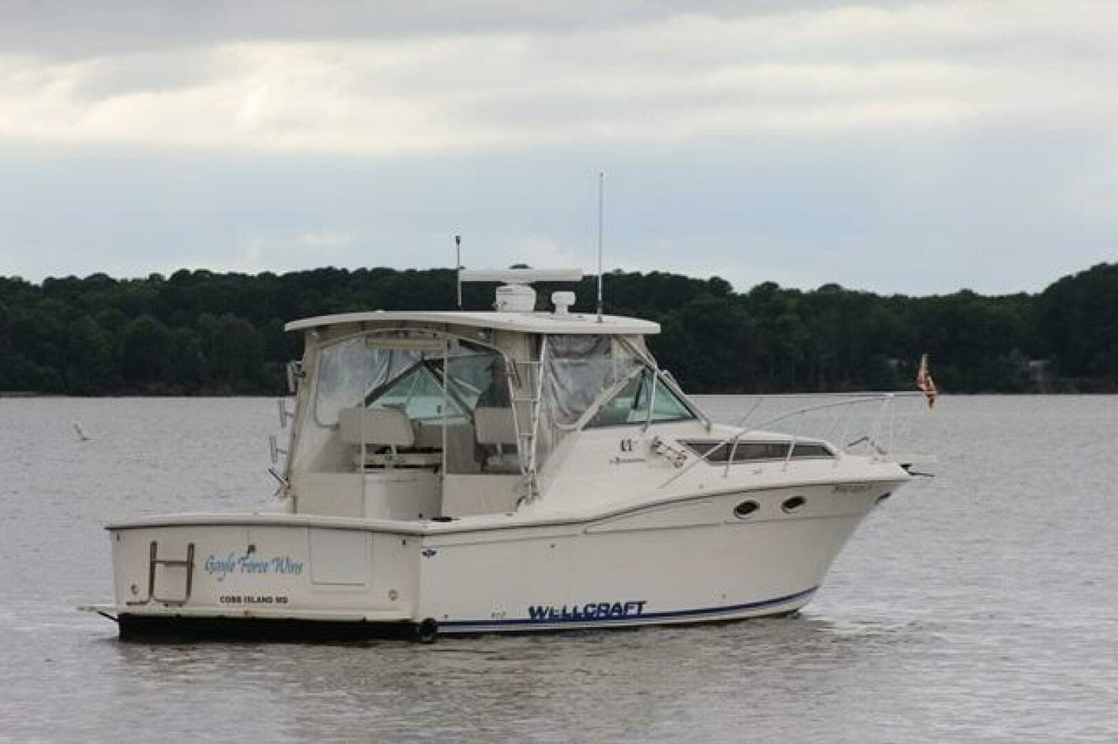 1996 Wellcraft 3300 Coastal - Image 4