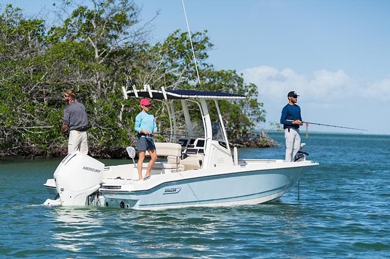 Manufacturer Provided Image: 2026 Boston Whaler 220 Dauntless boat with people fishing in calm waters.