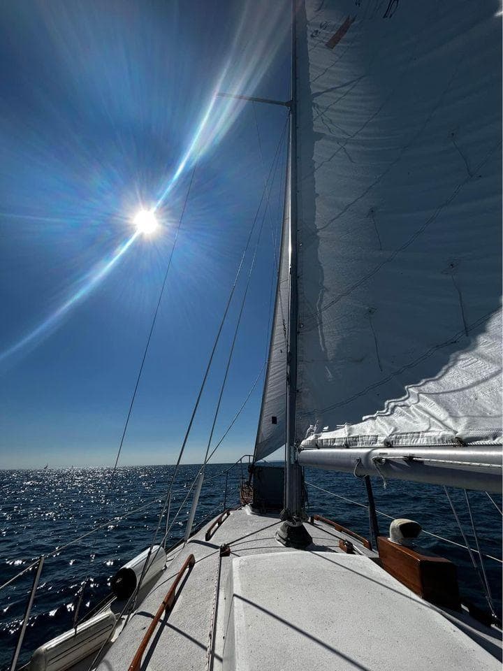 1980 Bayfield Sloop sailing under bright sun on open sea.