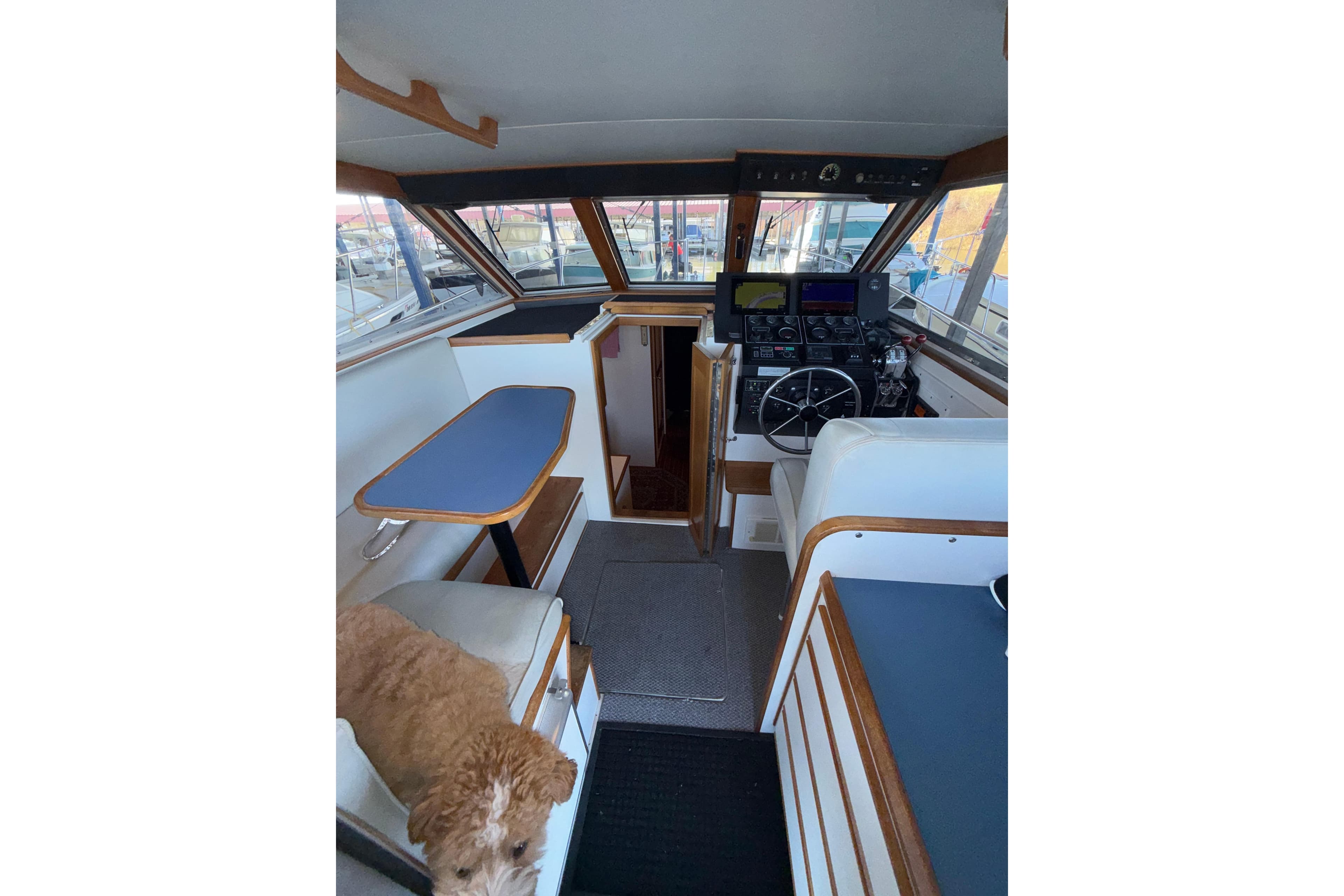 Interior of 1997 Norstar 301 boat with steering wheel, seating, and a dog.