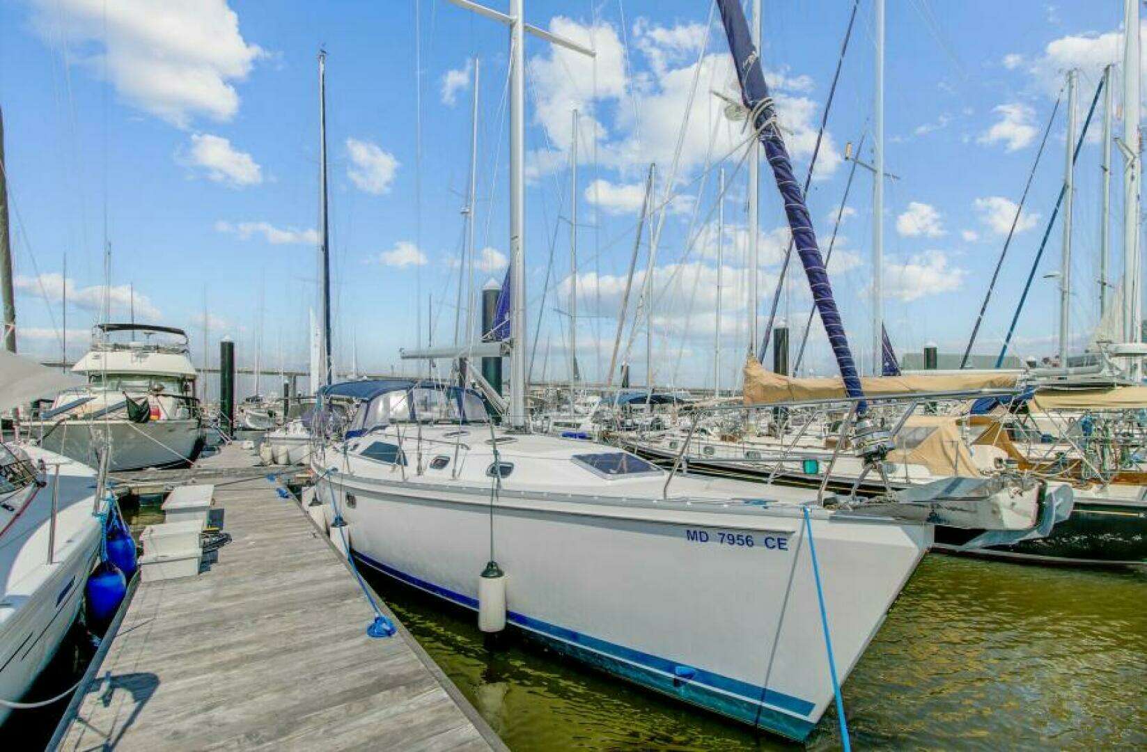 2011 Catalina 445 - Image 3