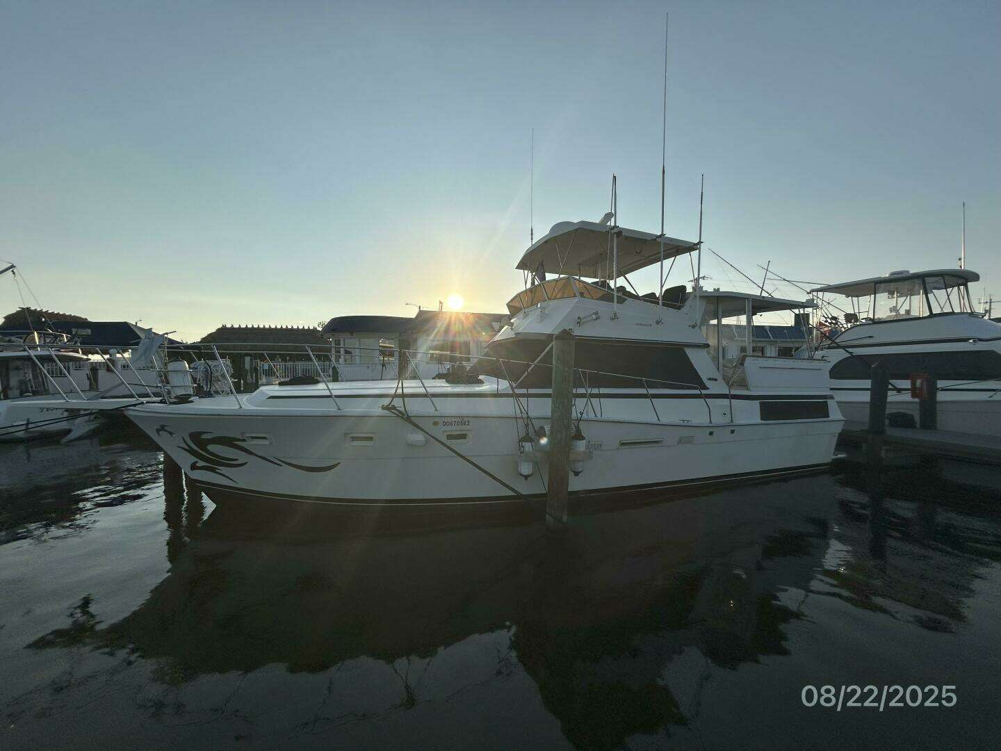 1984 Viking 44 - Image 4