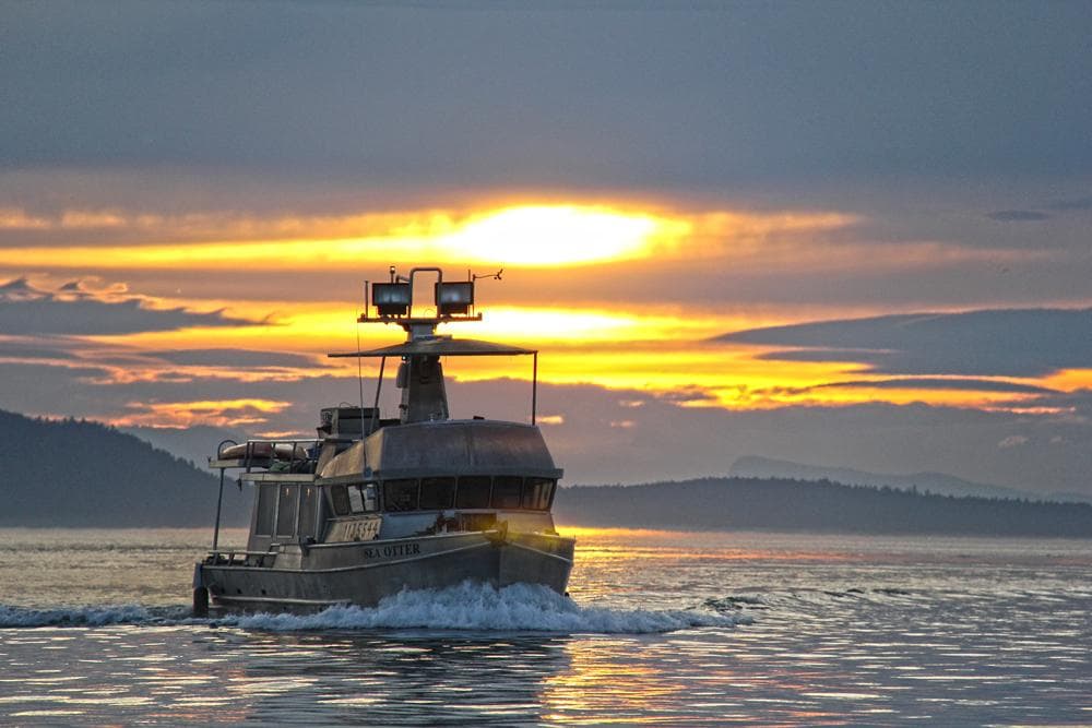 Custom Carlson Marine Trawler (2002) cruising at sunset on calm waters.