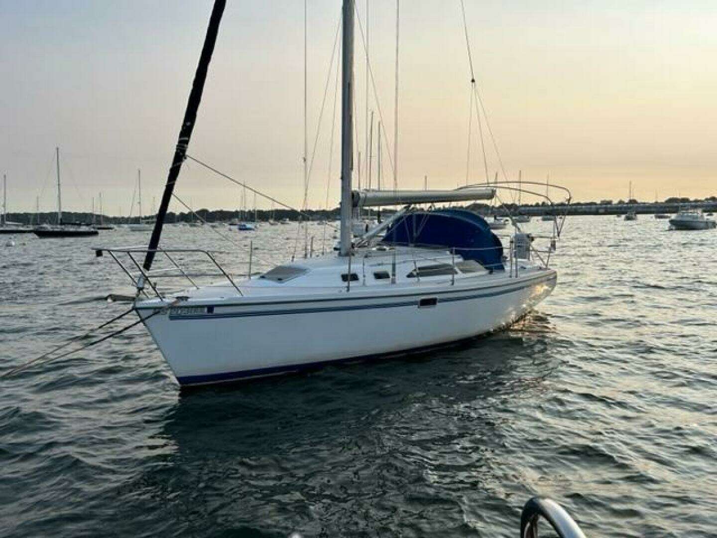 1998 Catalina 320 - Image 6