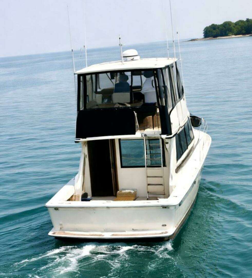 1986 Viking Convertible - Image 26