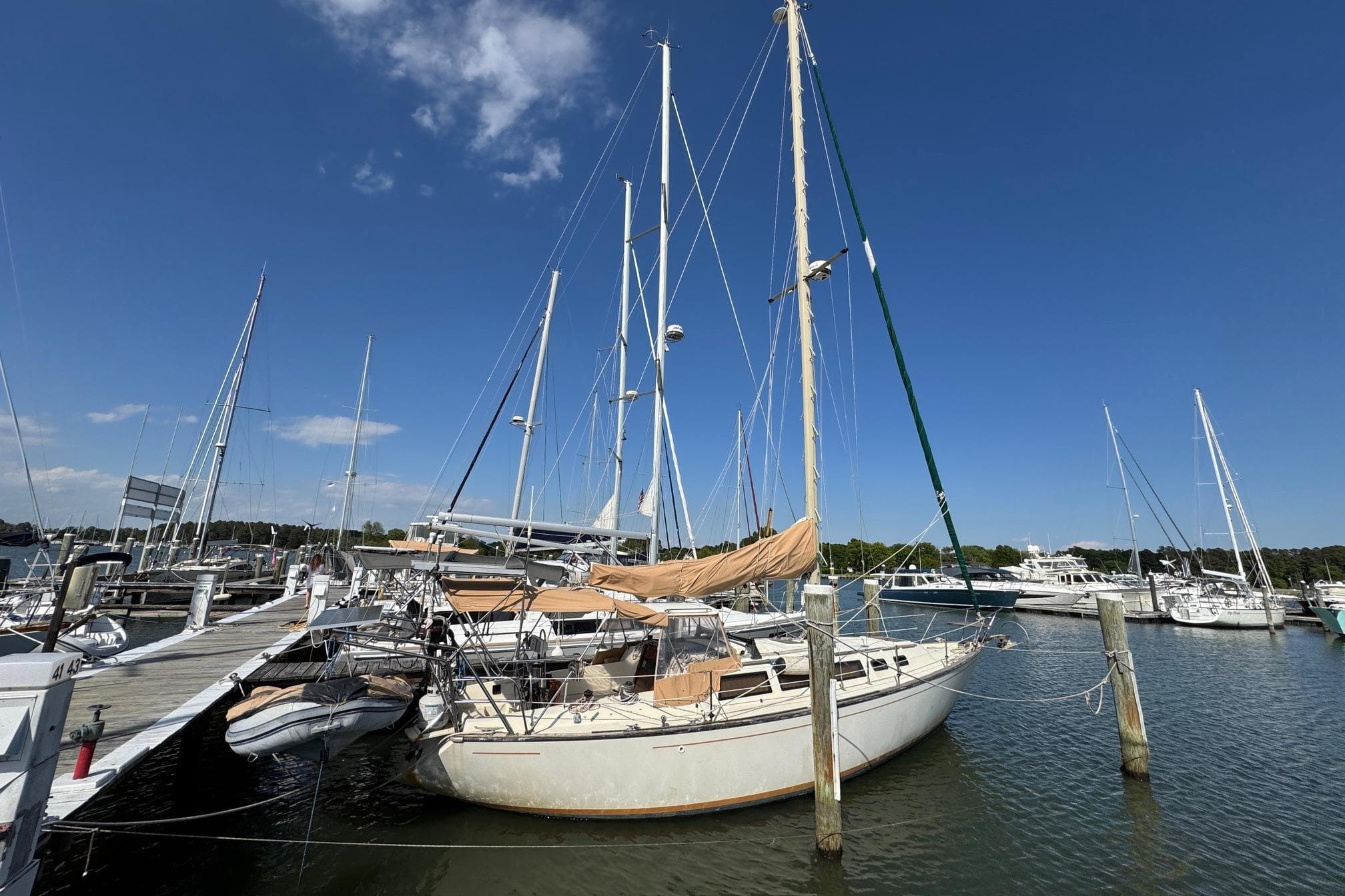 1981 S2 36 sailboat docked at marina under clear blue sky.