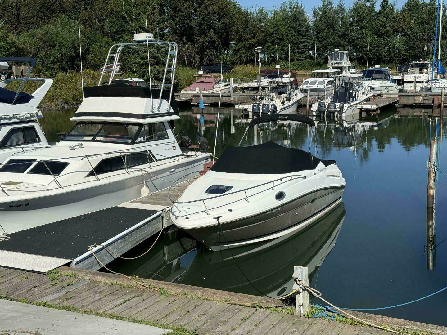 2007 Sea Ray Sundancer 240 - Image 2