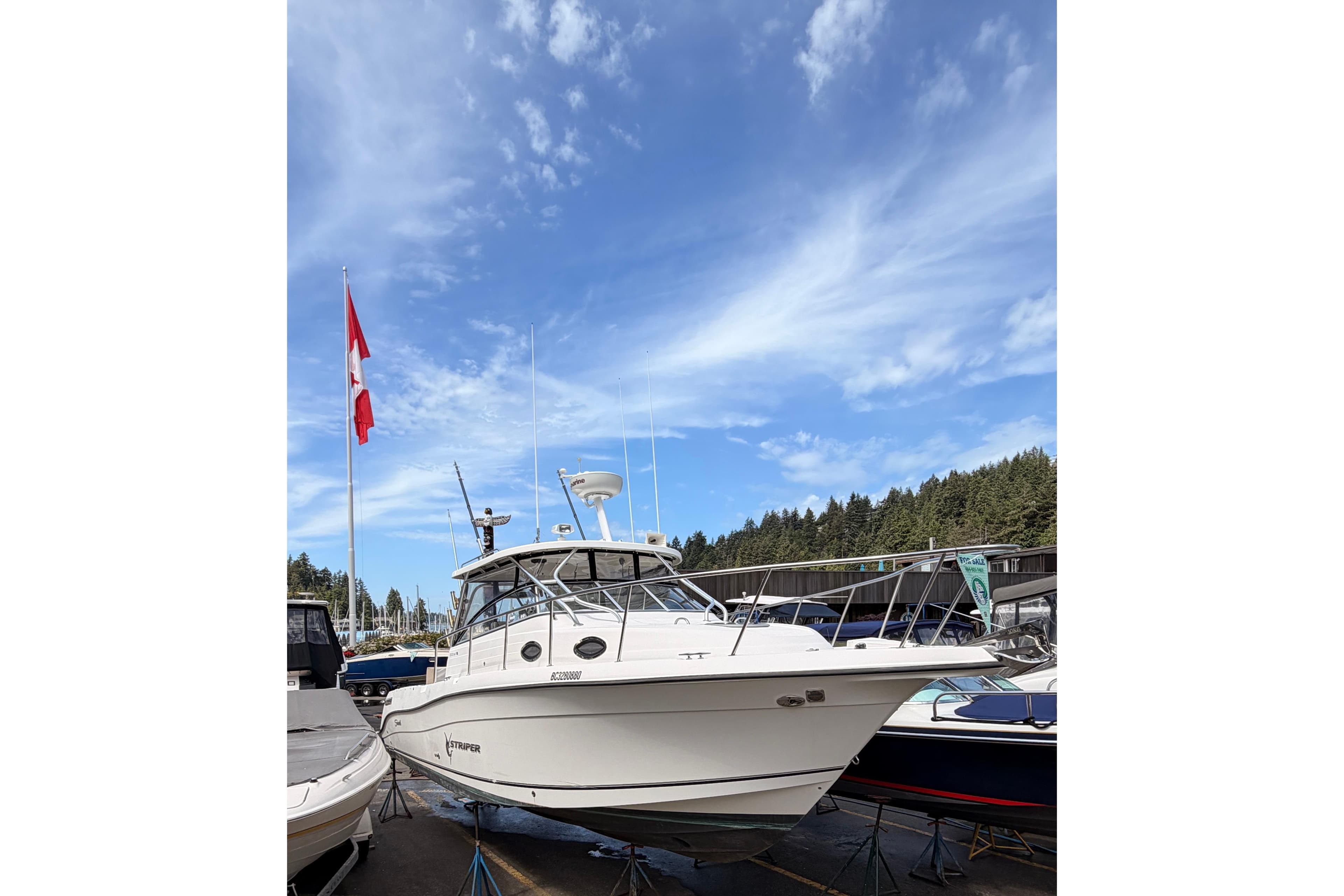 2007 Seaswirl Striper 3301 Walkaround O/B