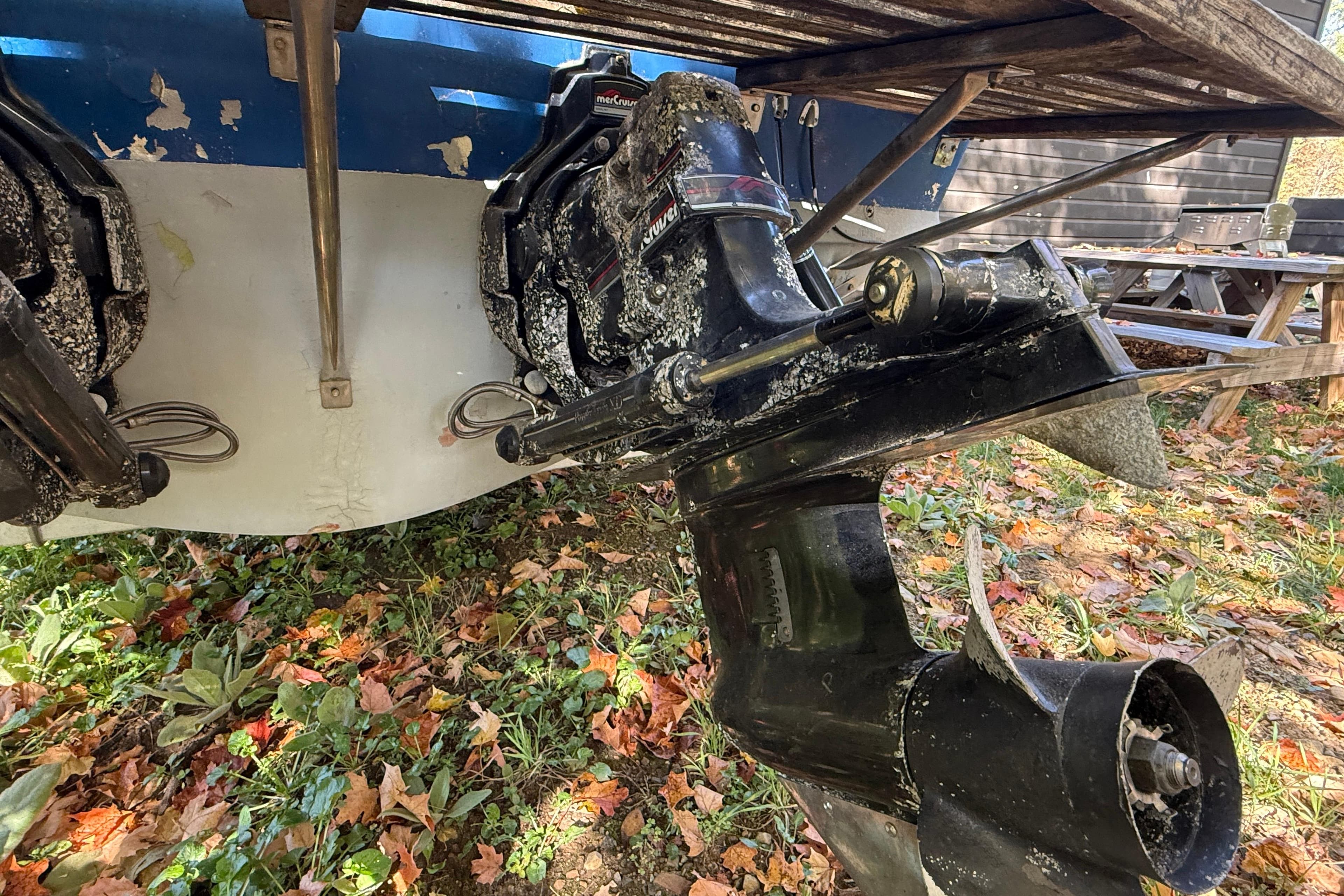 1965 Bertram boat stern with dual outboard motors, surrounded by autumn leaves.