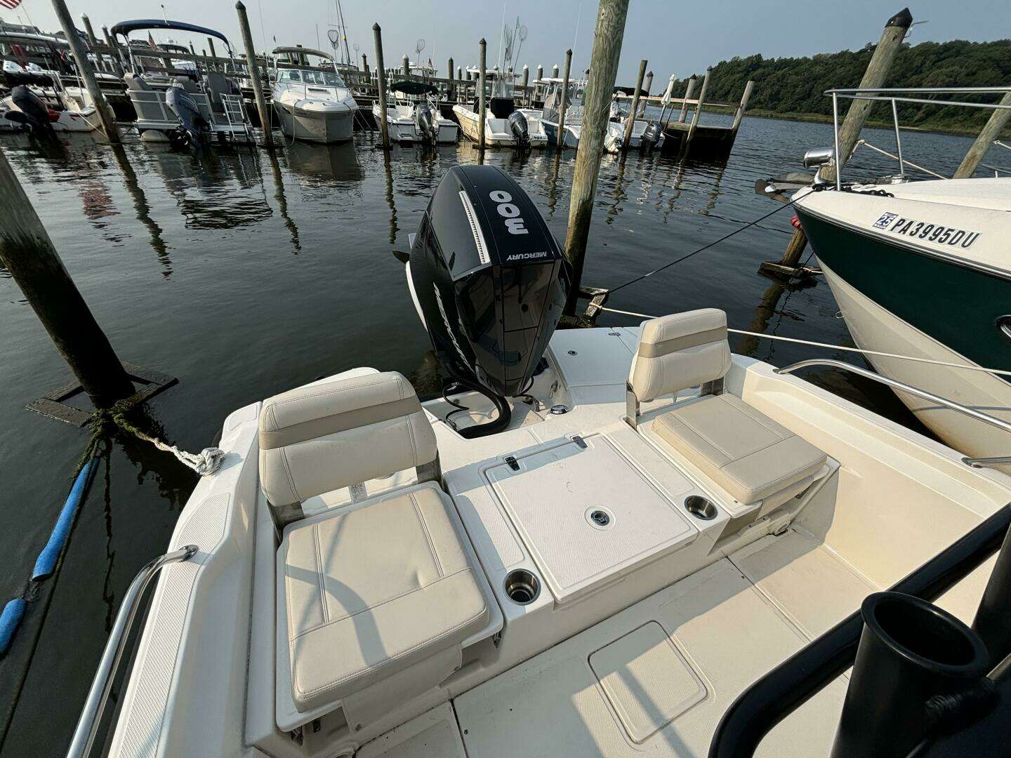 2023 Boston Whaler 250 Dauntless - Image 4