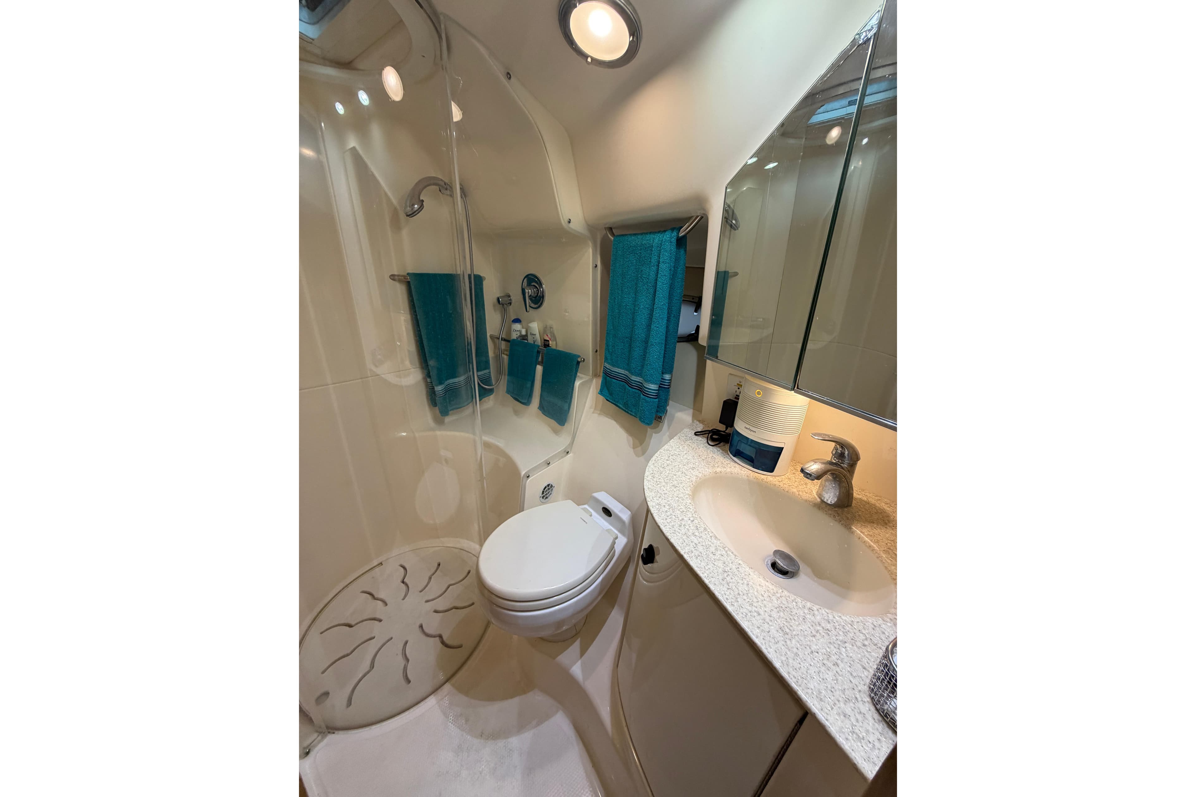 Bathroom interior of 2002 Tiara Yachts 3800 Open, featuring shower and sink.
