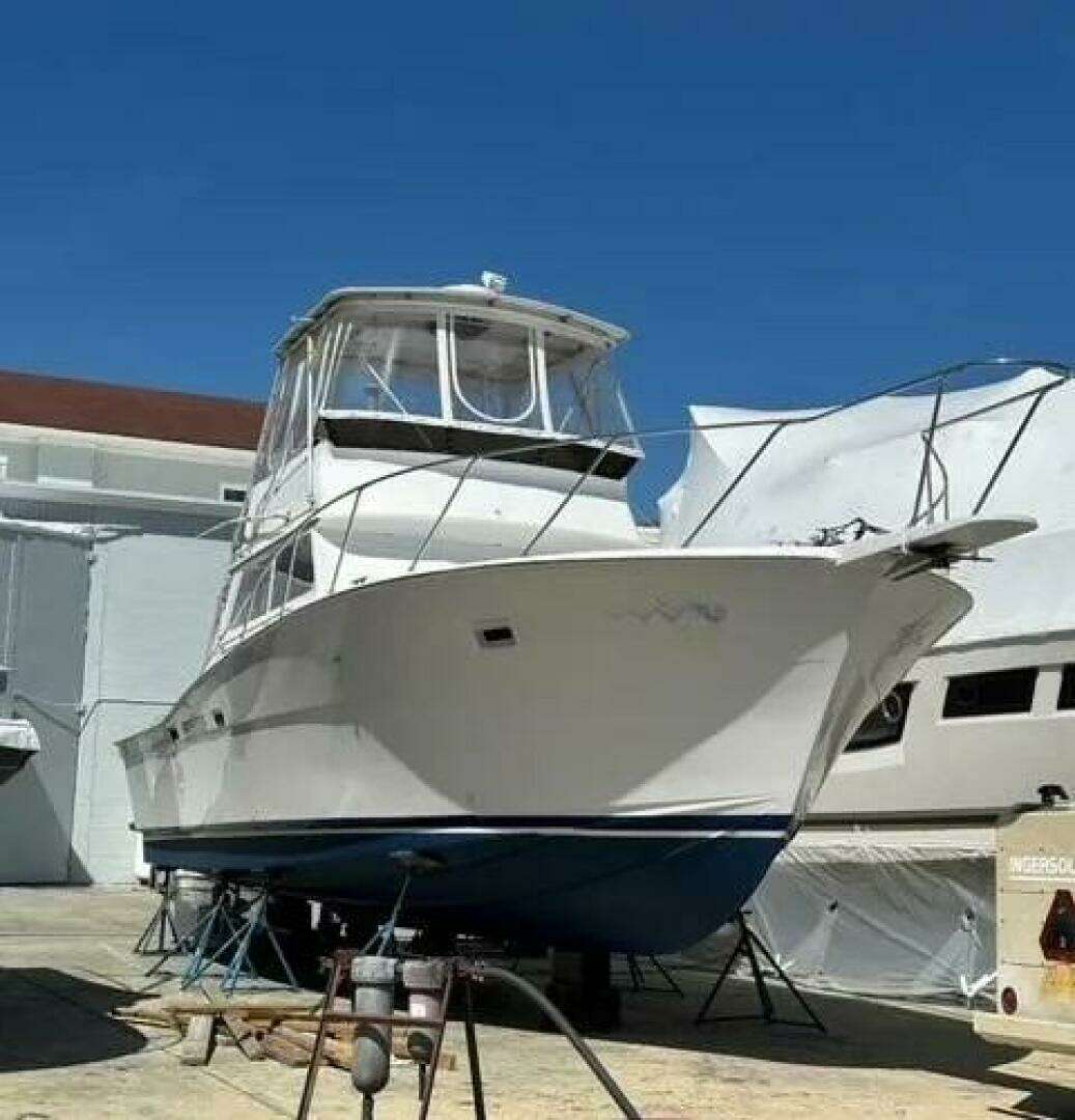1973 Viking Convertible - Image 3
