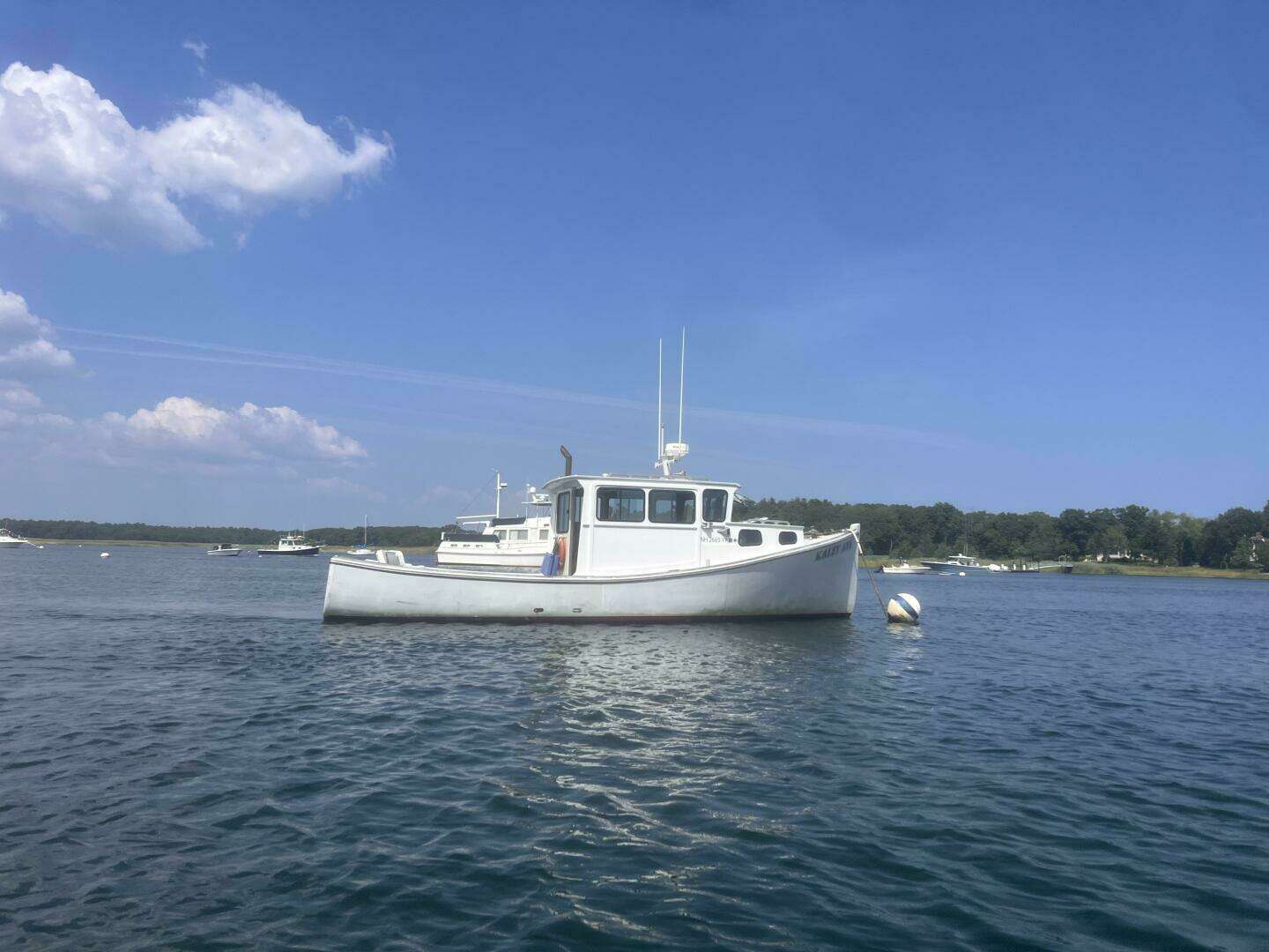 1982 Stanley Greenwood Novi - Image 5