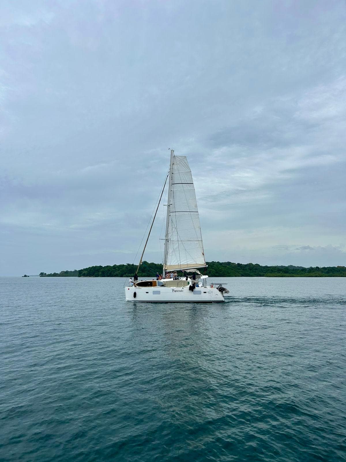 Sailing catamaran Lagoon 400, 2010 model, cruising on calm waters near a lush island.