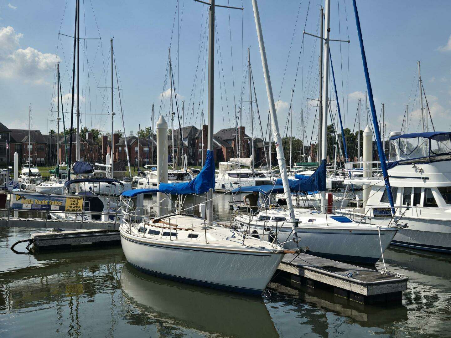 1986 Catalina Tall Rig - Image 3