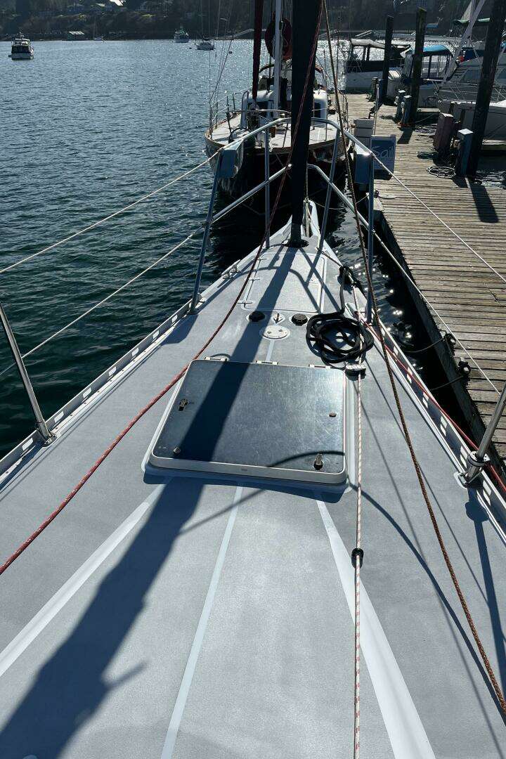 1997 Robert Perry 61 - Image 11