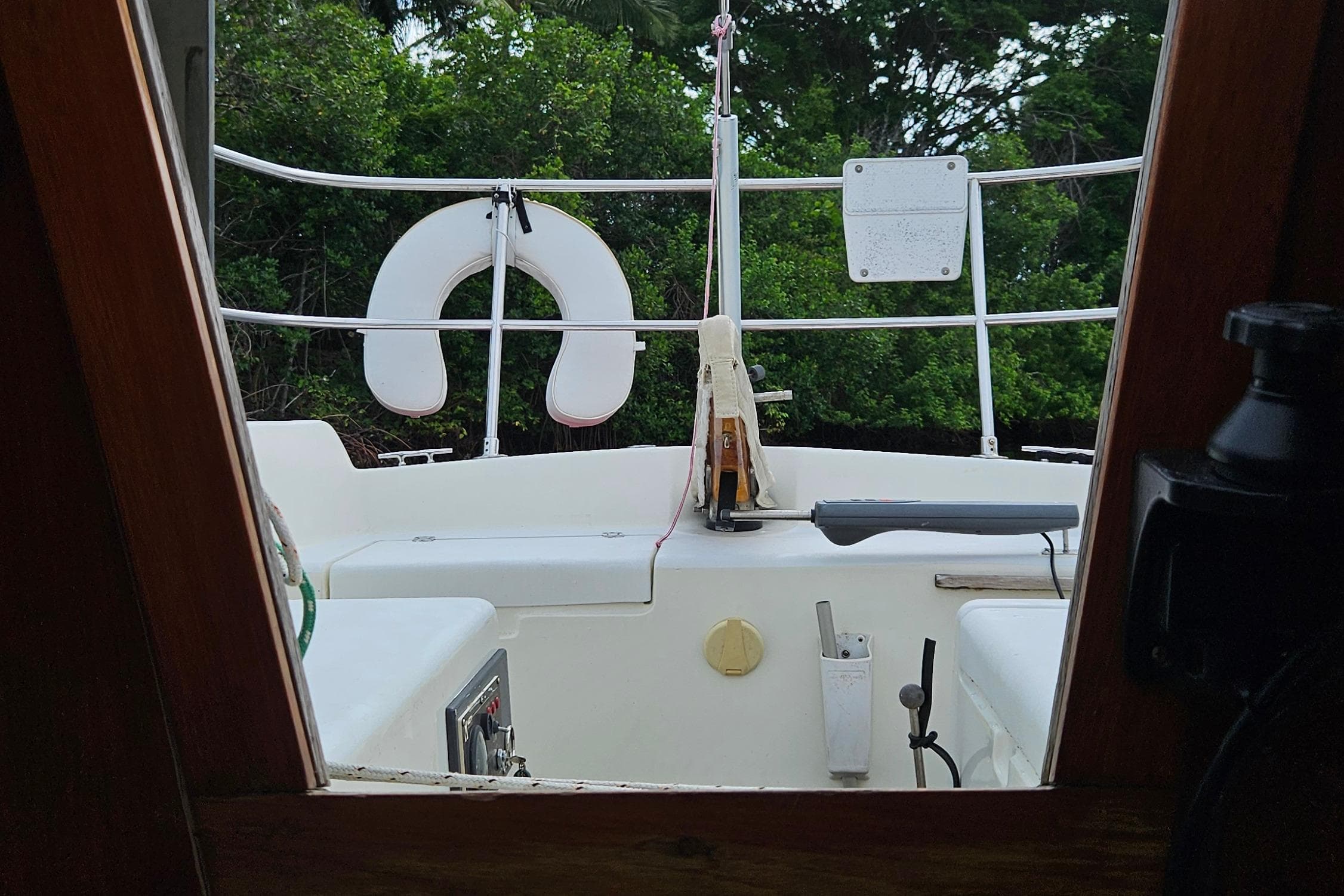 Interior view of a 1977 Peterson 34 Sloop sailboat, featuring cockpit and lush greenery.