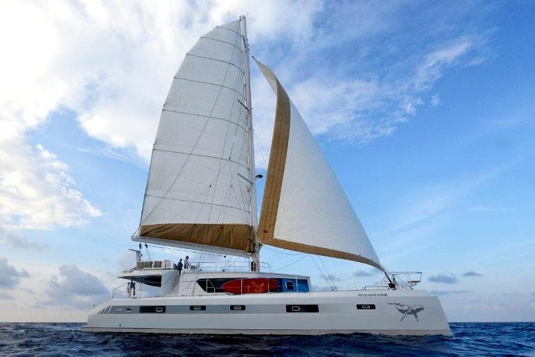 2019 Squalt Marine CK 64 catamaran sailing on open sea under blue sky.