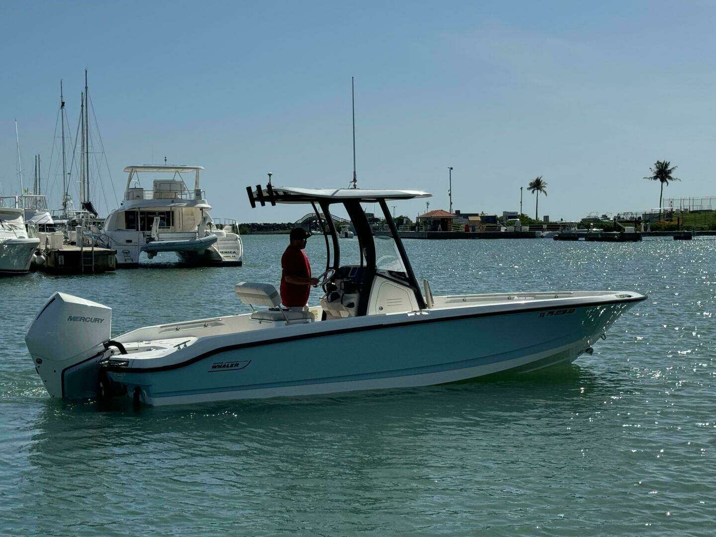 2022 Boston Whaler 250 Dauntless - Image 5