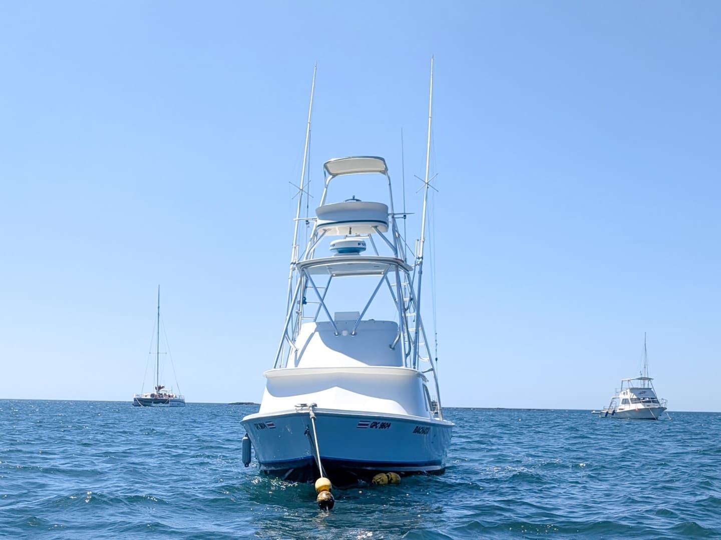 1973 Bertram Sportfisher - Image 6