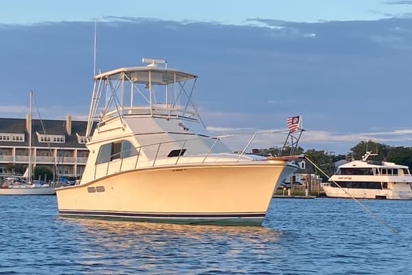1988 Pacemaker 36 Convertible - Image 1