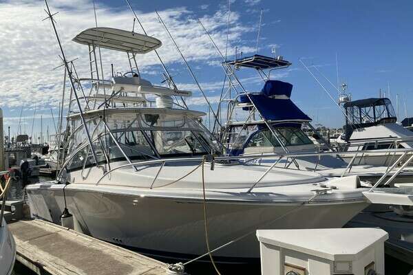 2006 Luhrs 280 Express Open - Image 1