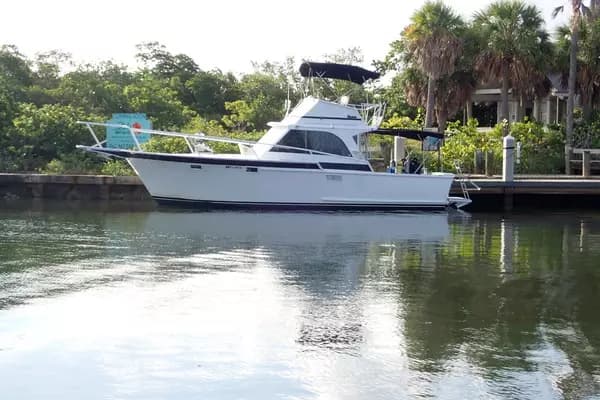 1969 Striker 37 - Image 1